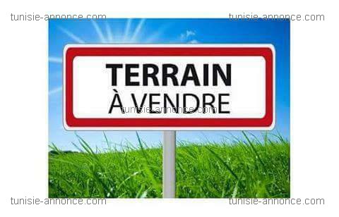 Vente Maisons - Tunisie