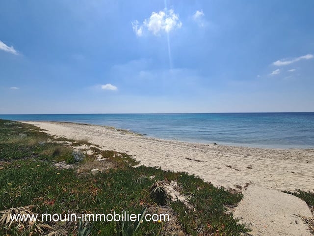 Vente Maisons - Tunisie