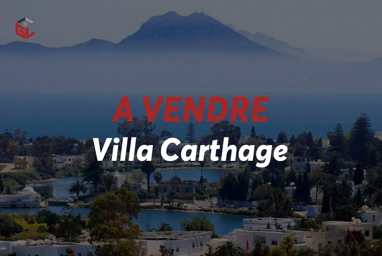Carthage Carthage Vente Maisons Villa  carthage