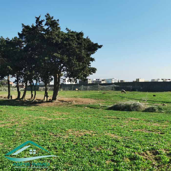 Hammam El Ghezaz Ezzahra Vente Surfaces Terrain 230 m2  ezzahra hammam ghzeez