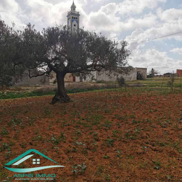 Hammam El Ghezaz Ezzahra Vente Surfaces Terrain 440 m2  ezahra kelibia