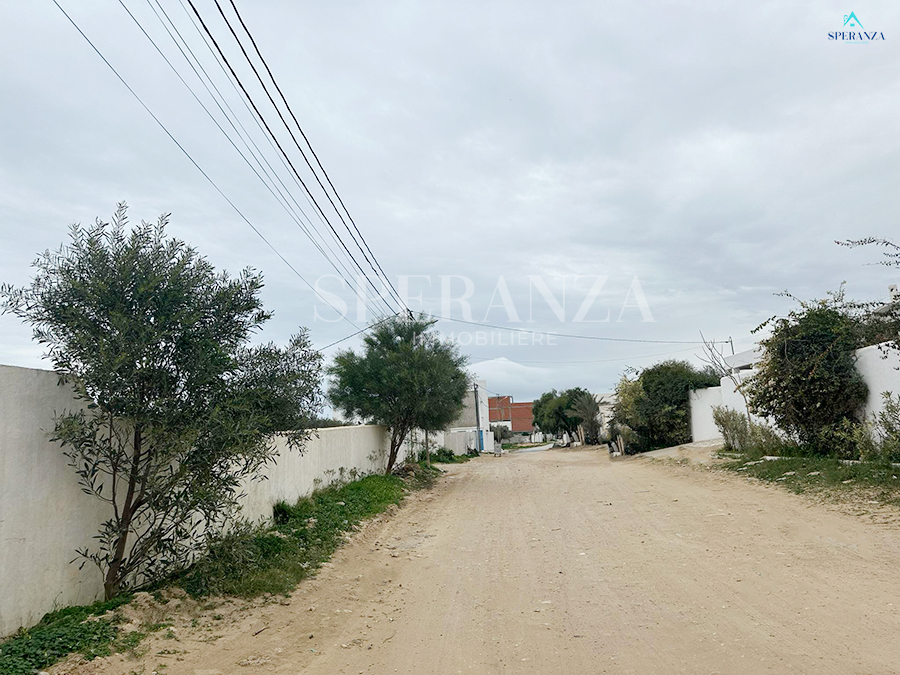 Vente Surfaces - Tunisie