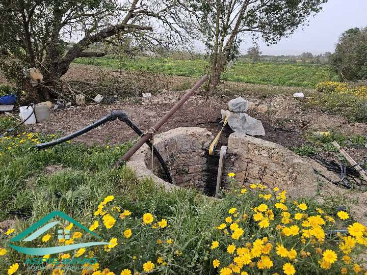 El Haouaria Charaf Vente Surfaces Terrain agricole 5 hectares  chraf el hawaria