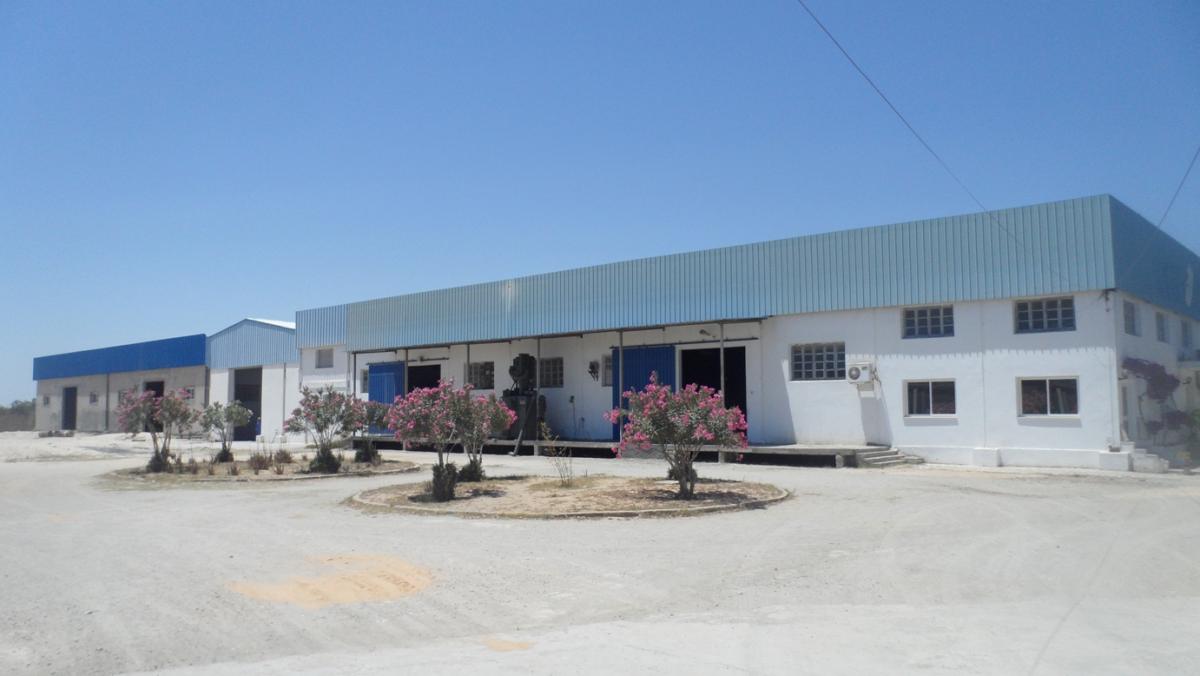Vente Surfaces - Tunisie