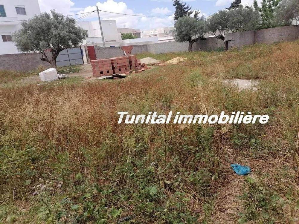Vente Maisons - Tunisie