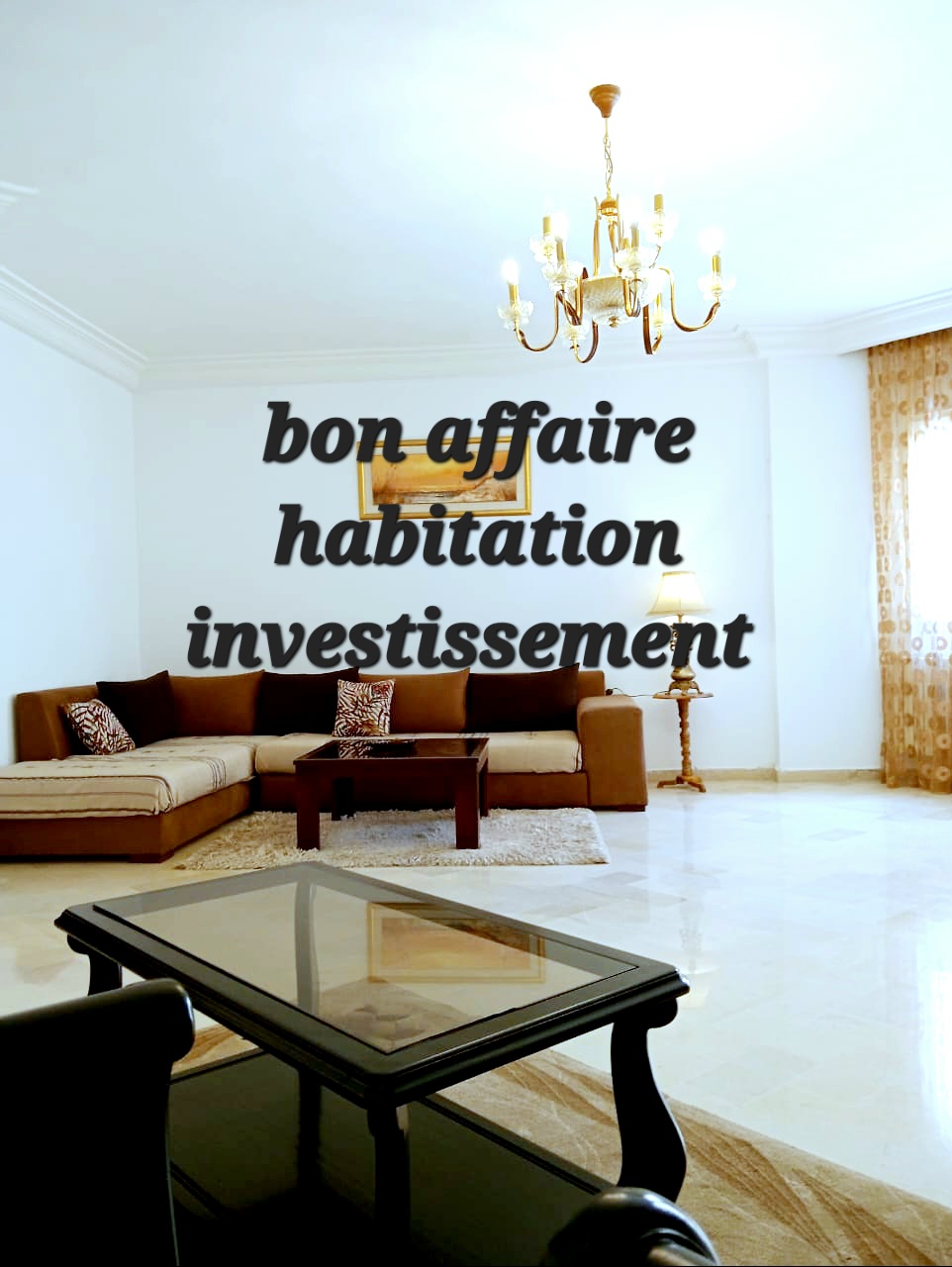 La Marsa El Aouina Vente Appart. 3 pices Bon affaire habitation investissement