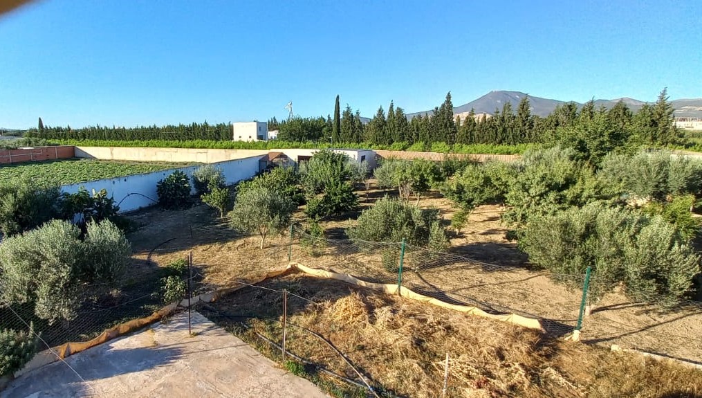 Mornag Sidi Saad Vente Autre Une ferme  morneg sidi saad