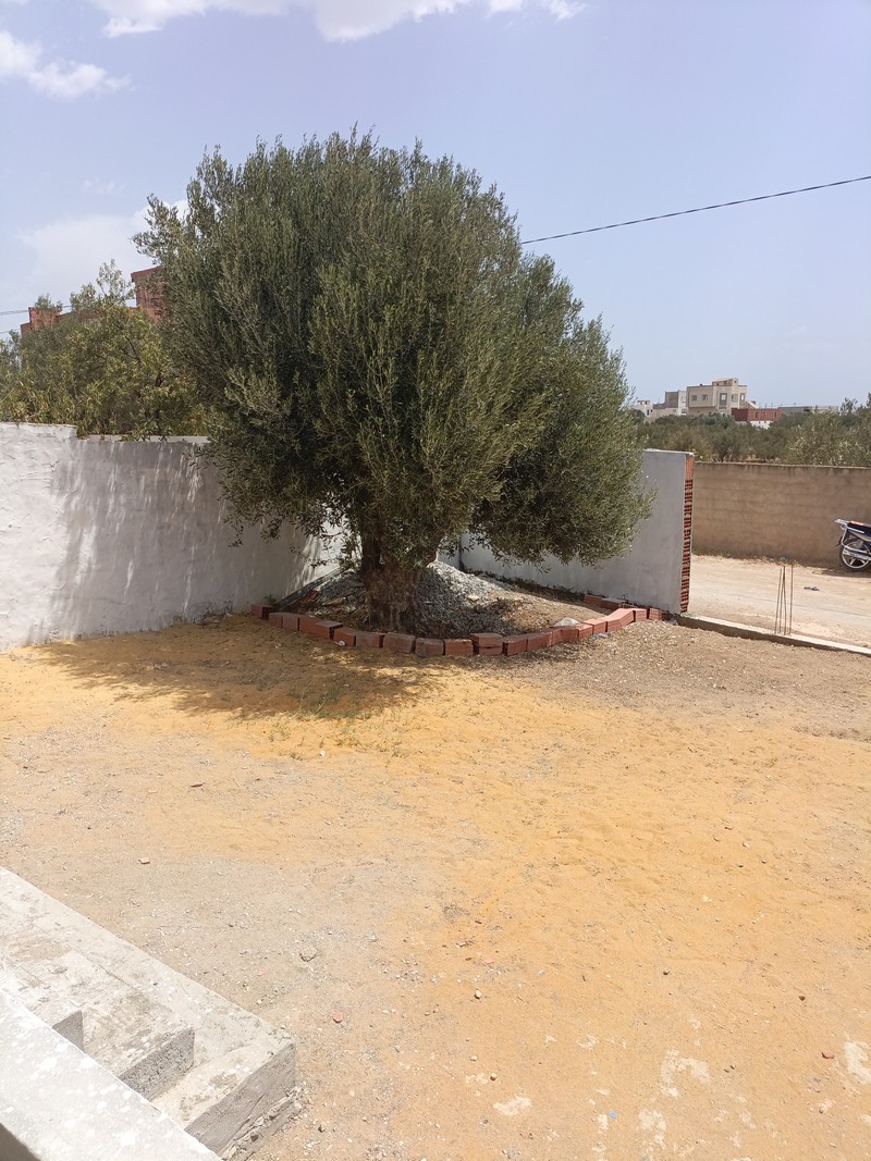 Hammamet Hammamet Vente Maisons Av maison  non fini de 220m  hammamet sud