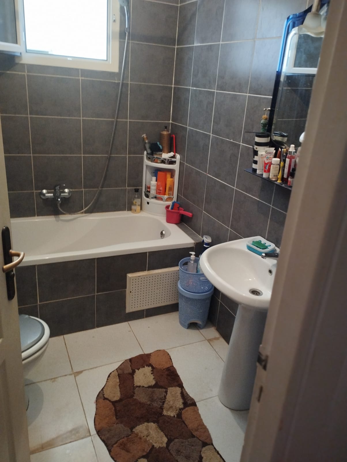 Fouchana Cite El Misk Vente Appart. 3 pices Appartement s2