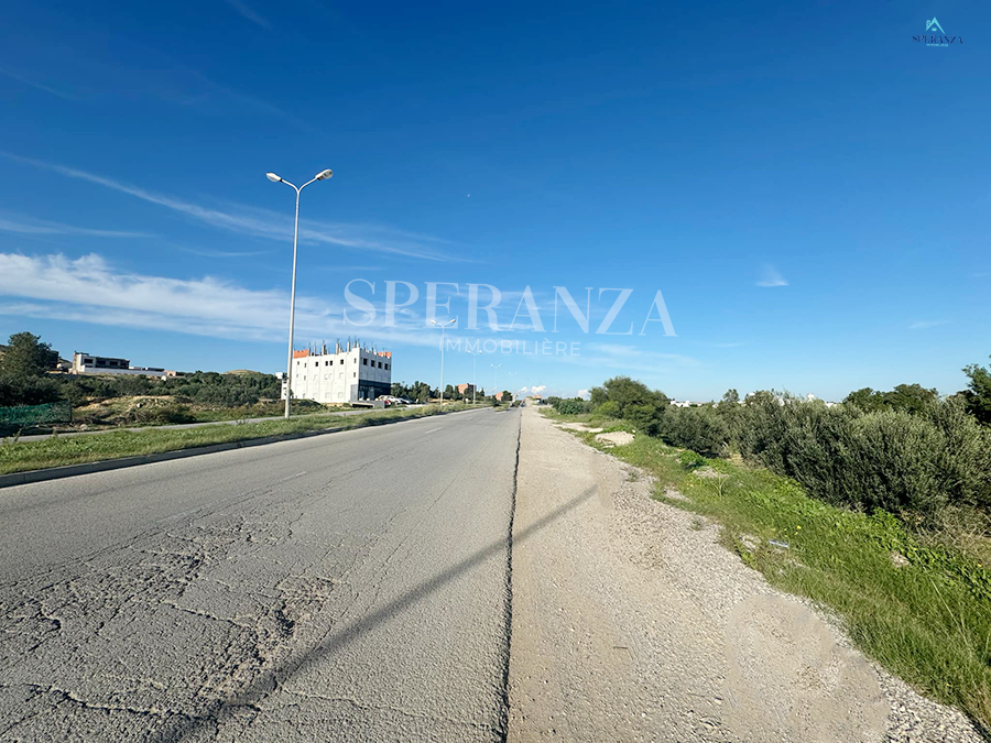 Vente Surfaces - Tunisie