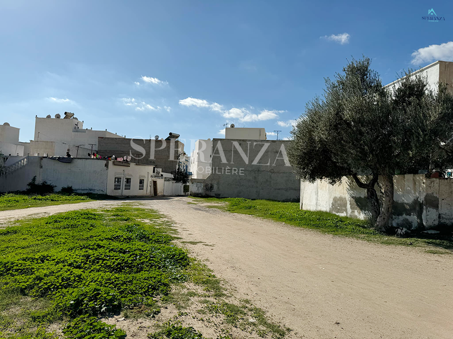 Vente Surfaces - Tunisie