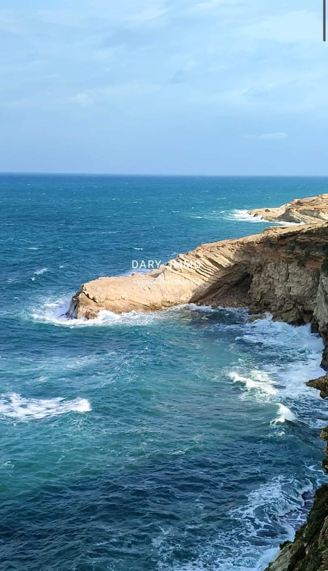 Vente Autre - Tunisie