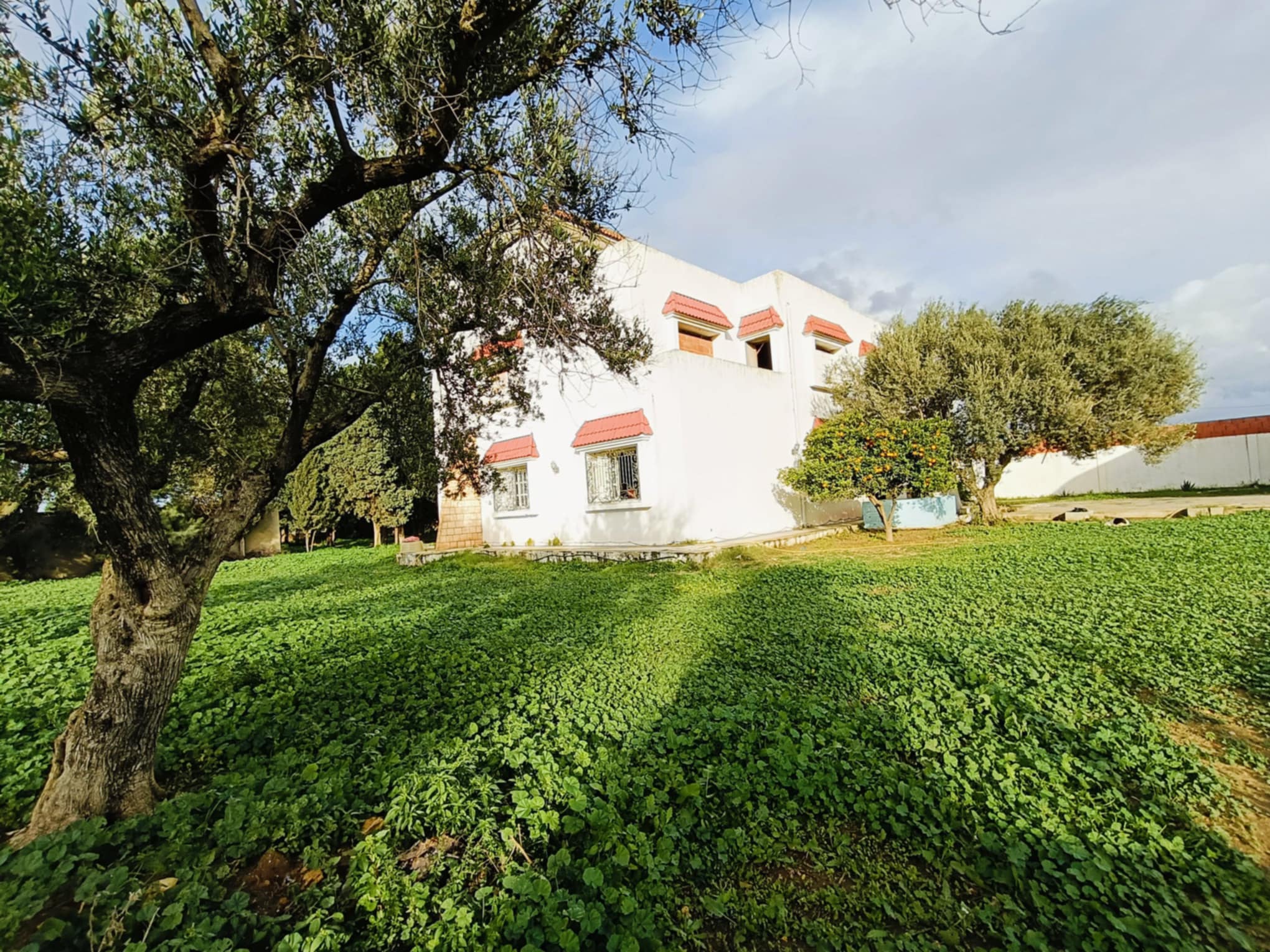 Vente Maisons - Tunisie