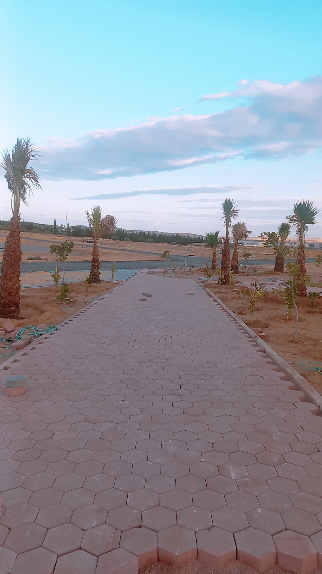 Vente Surfaces - Tunisie