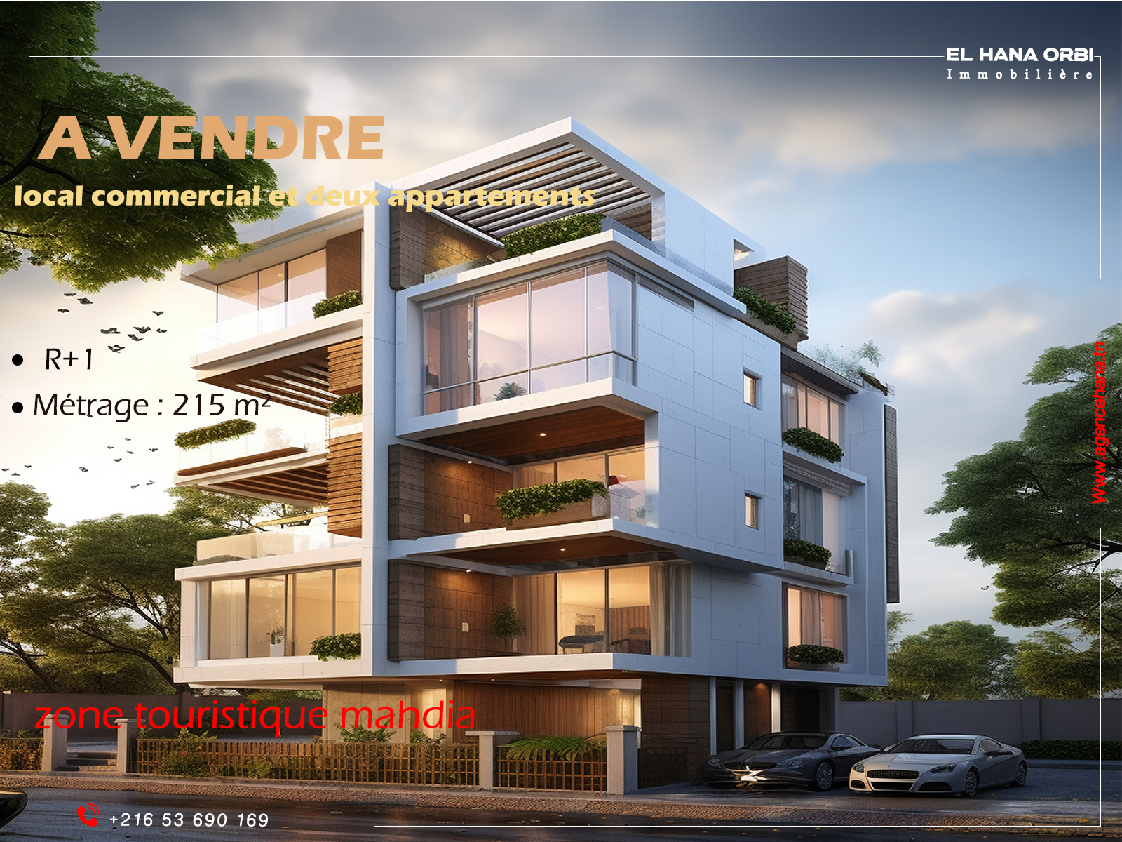 Vente Surfaces - Tunisie