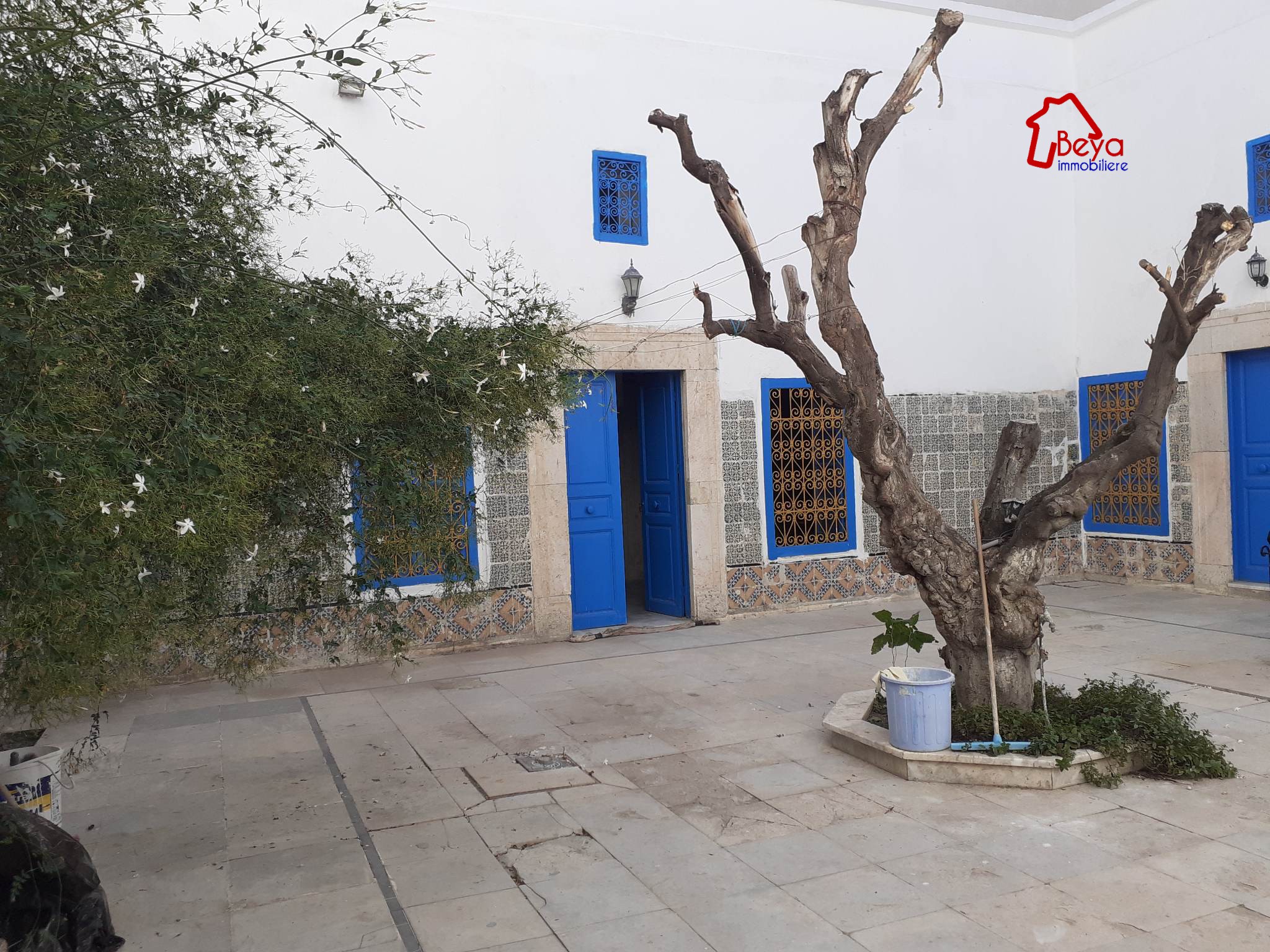 Bab Souika Bab Souika Vente Maisons Villa zen vvh111