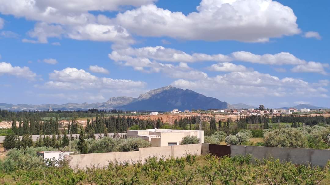 Vente Autre - Tunisie