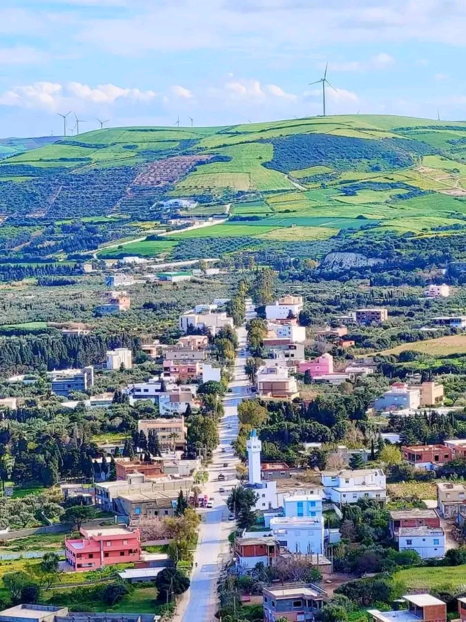 Vente Surfaces - Tunisie