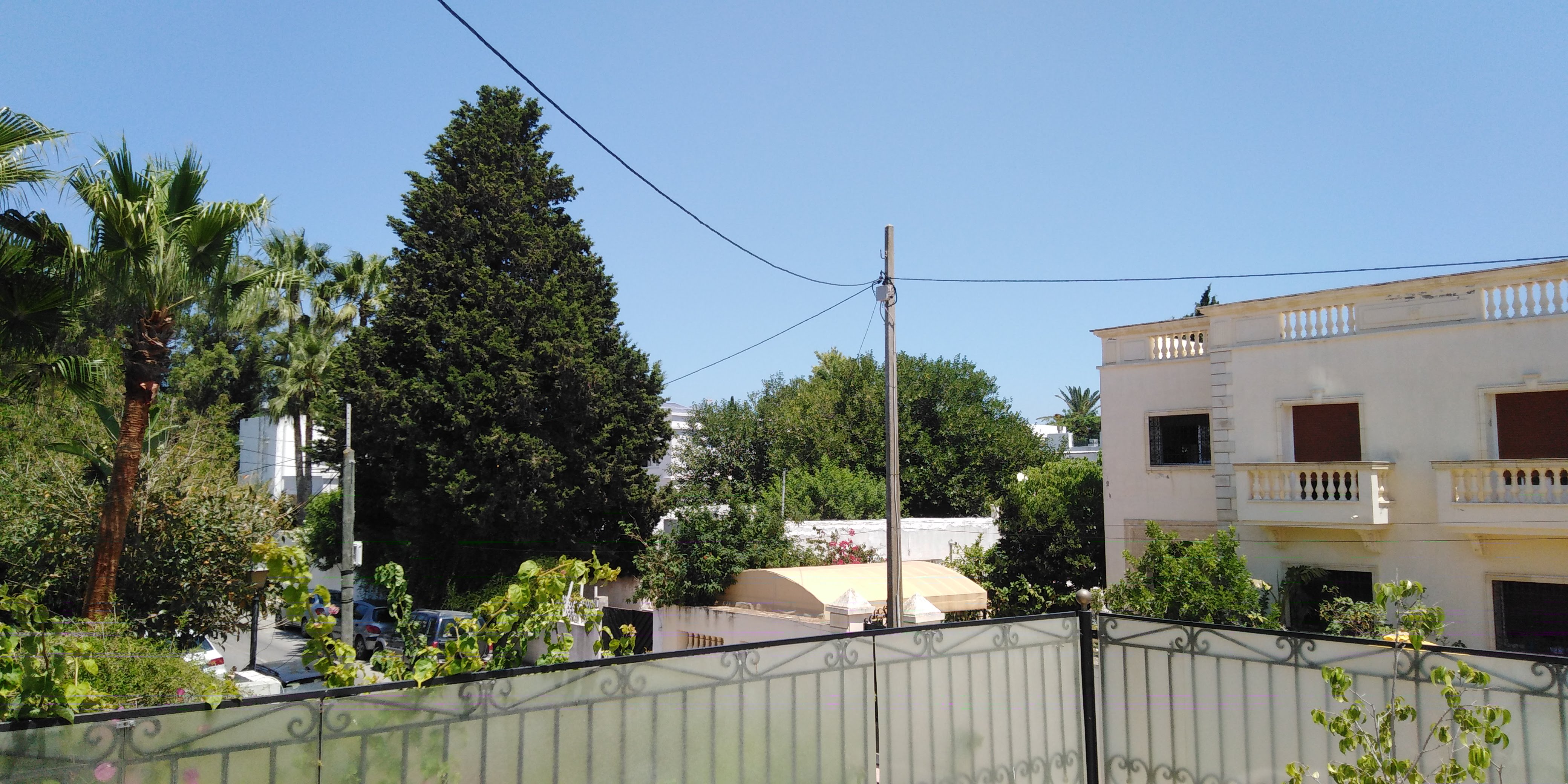 Carthage Carthage Vente Maisons Rdc de villa fleur de hannibal  carthage