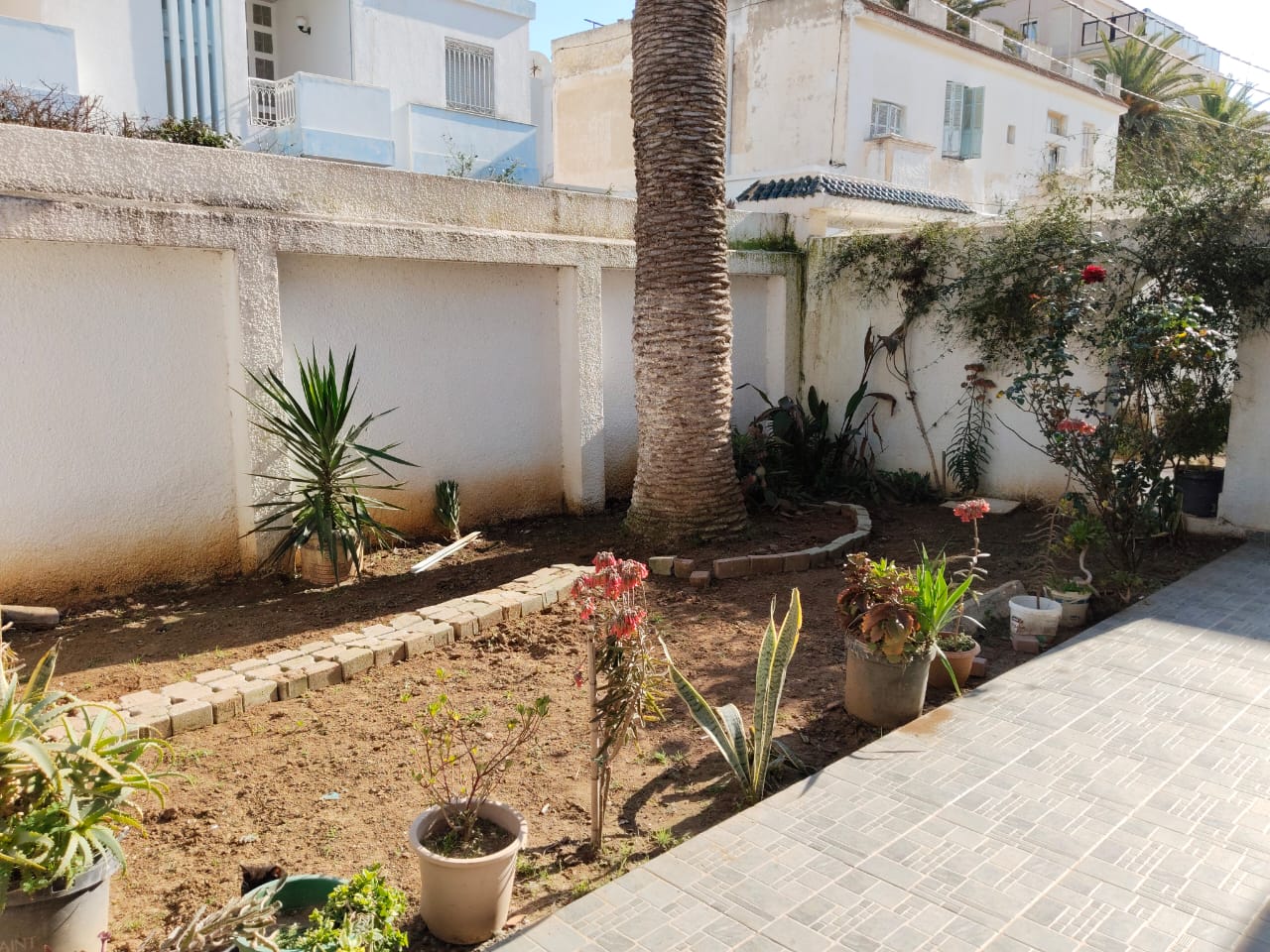 Vente Maisons - Tunisie