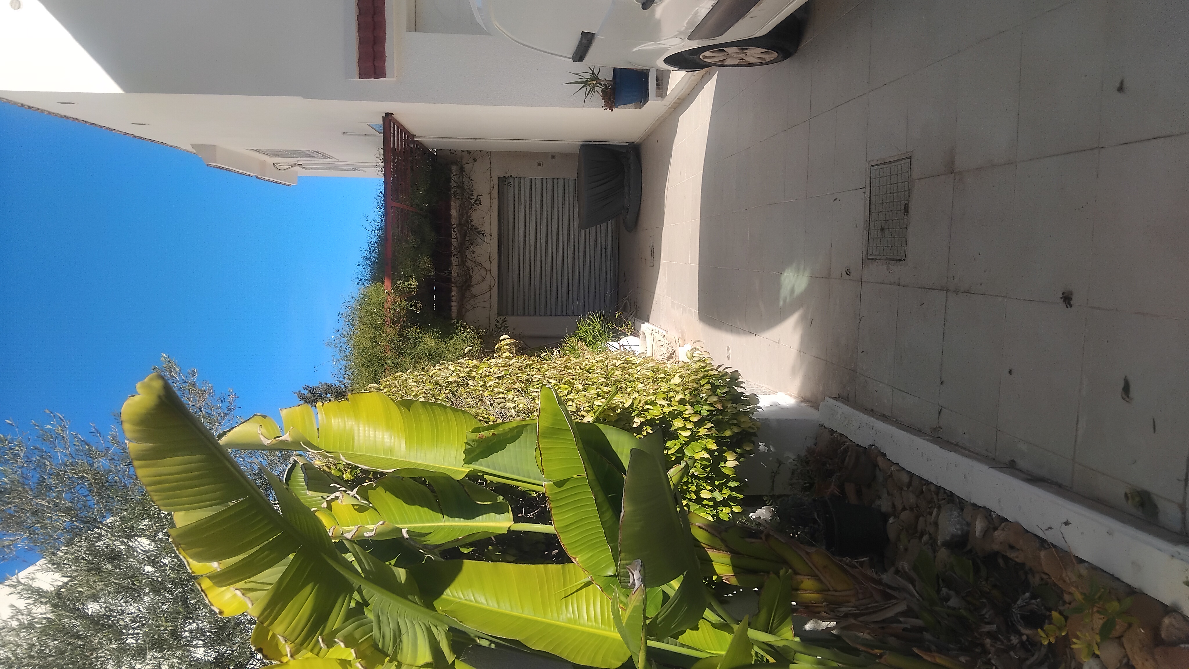 Hammam Chatt Hammam Chatt Vente Maisons Villa s 7 haut standing