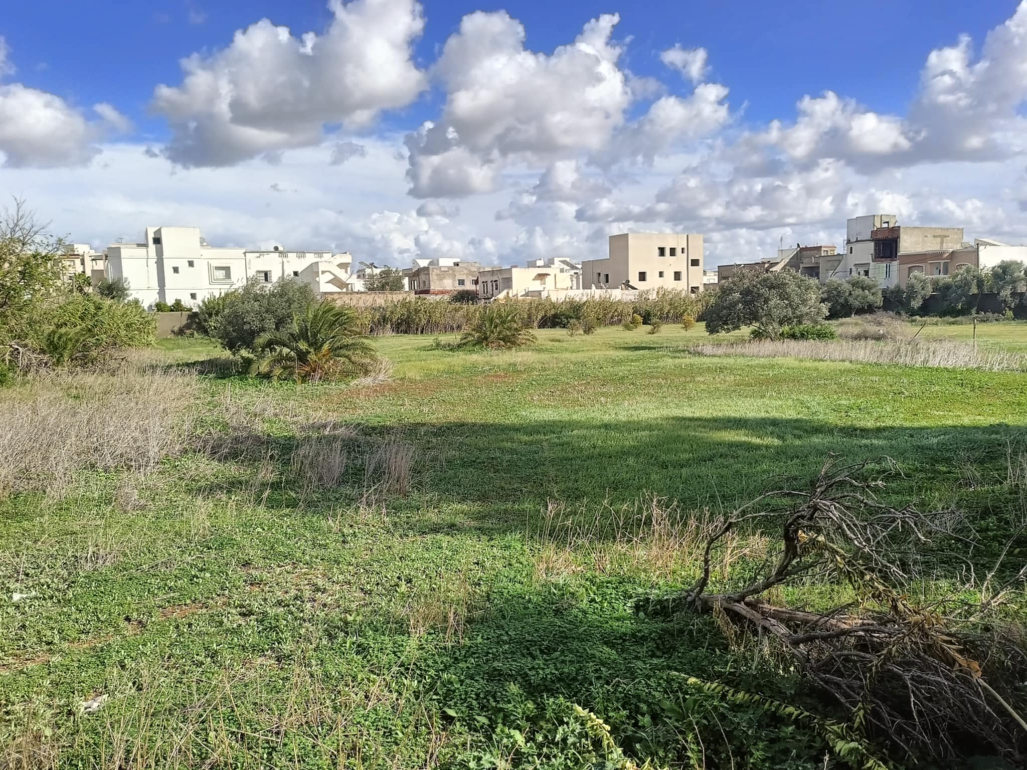 Vente Surfaces - Tunisie