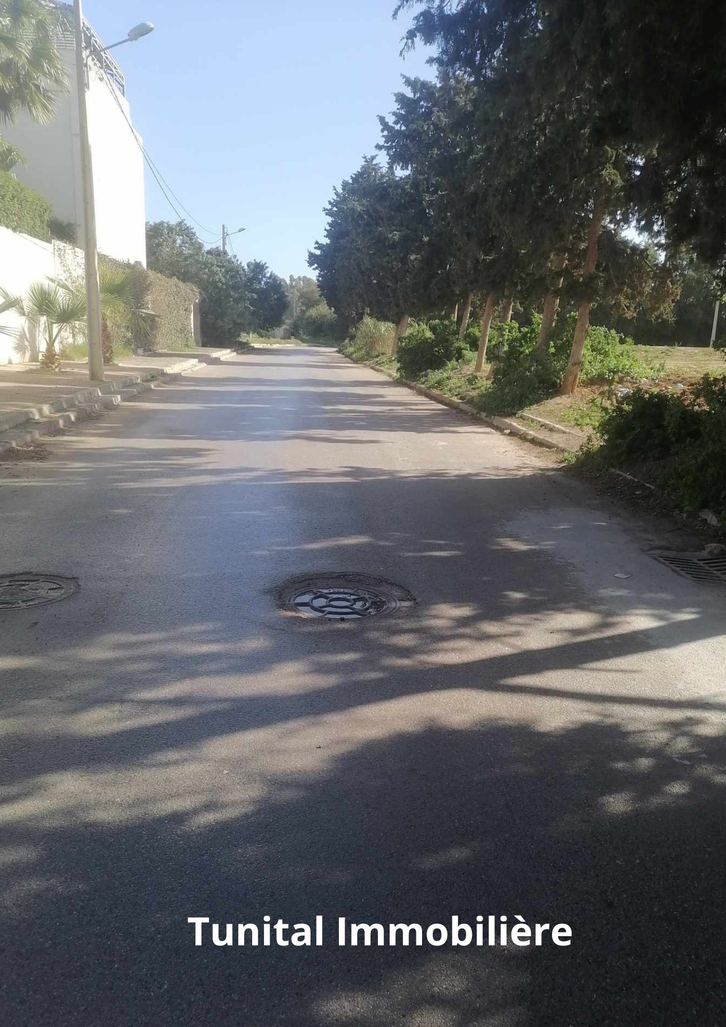 Vente Autre - Tunisie