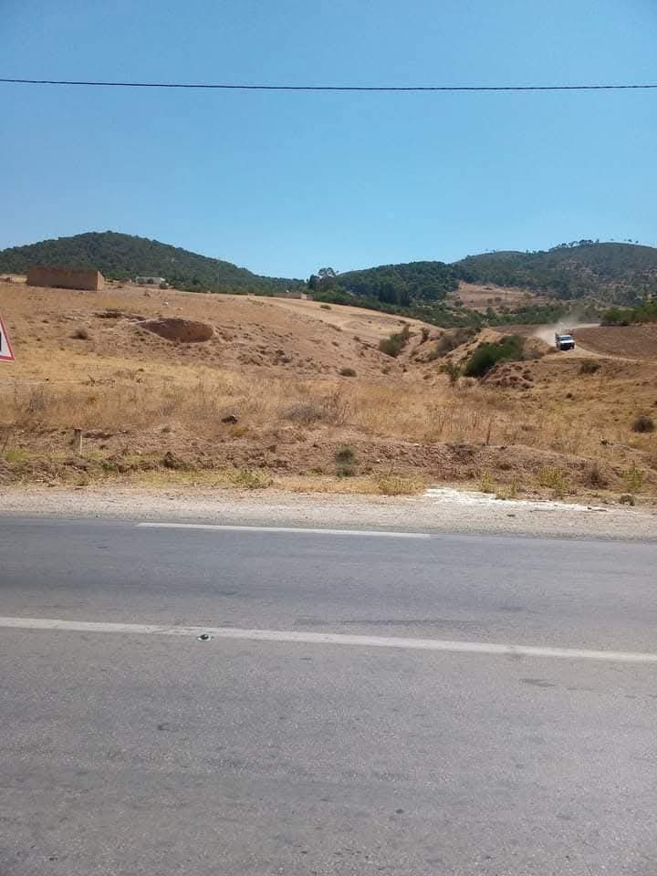 Vente Surfaces - Tunisie