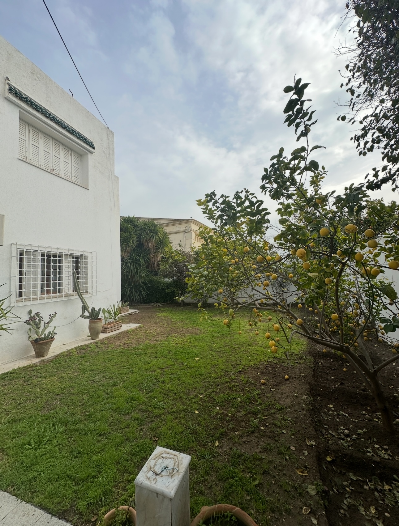 Carthage Cartage Byrsa Vente Maisons Villa s6 carthage byrsa 480m2
