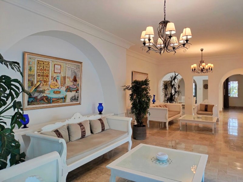 Hammamet Hammamet Vente Maisons V153 villa du charme  hammamet