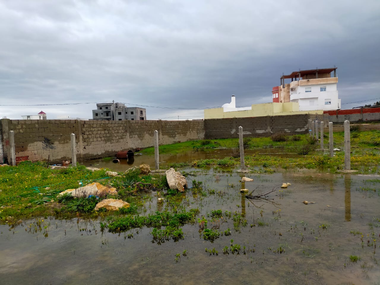 Kelibia Kelibia Vente Surfaces Une bonne  opportunit  kelibia