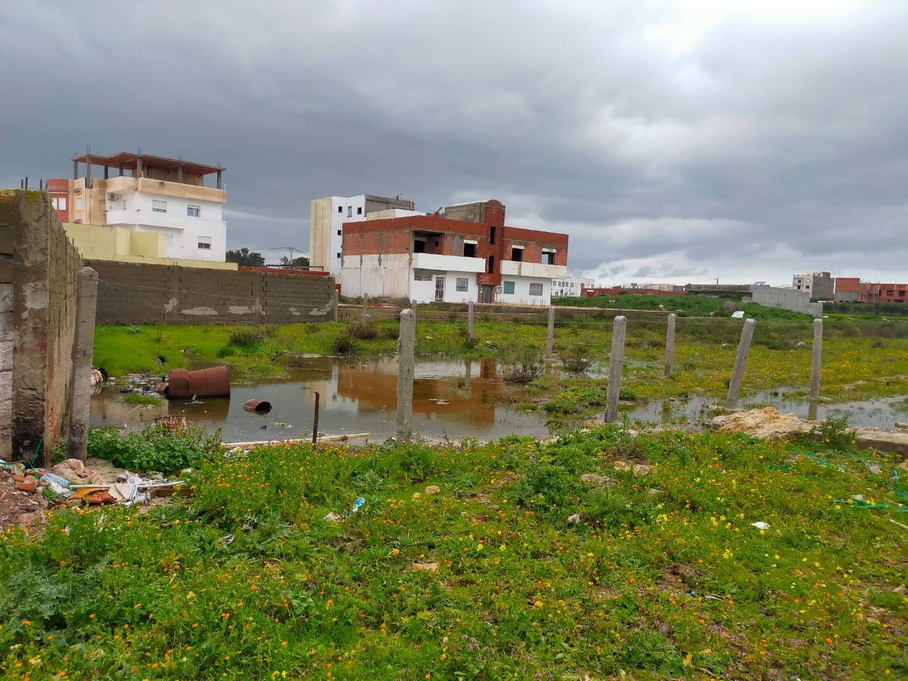 Vente Surfaces - Tunisie