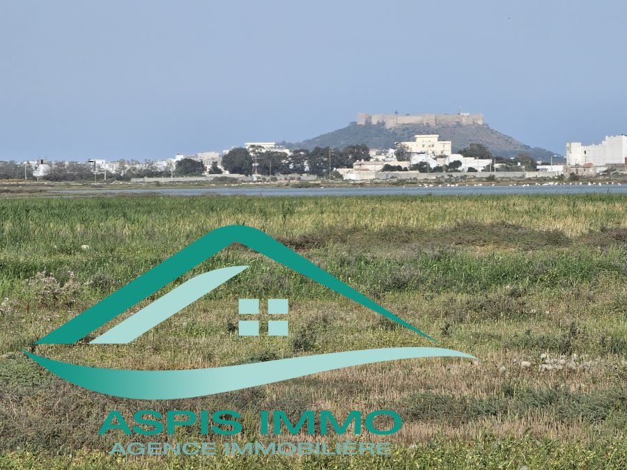 Kelibia Kelibia Vente Surfaces Terrain 300 m2  kelibia