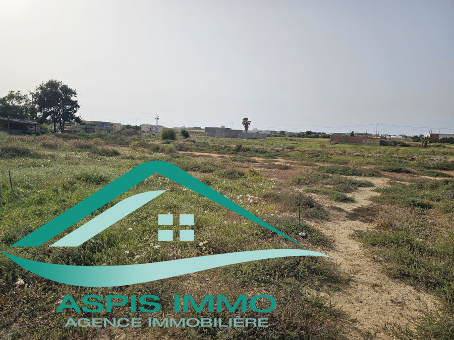 Kelibia Kelibia Vente Surfaces Terrain 300 m2  kelibia