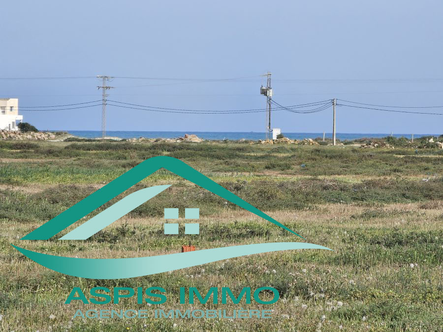 Kelibia Kelibia Vente Surfaces Terrain 300 m2  kelibia