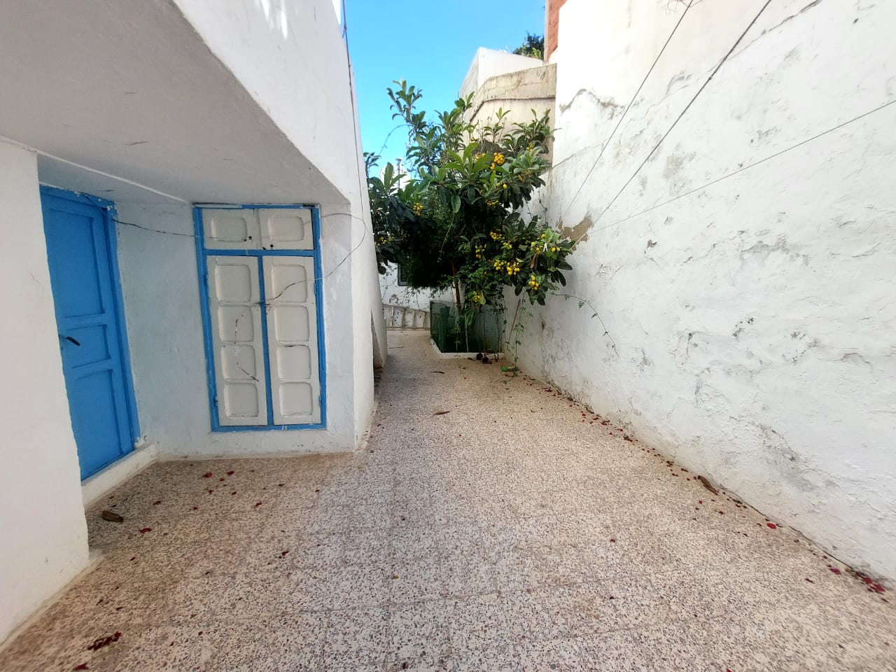 La Marsa Marsa Safsaf Vente Appart. 2 pices Rez de jardin  rnover