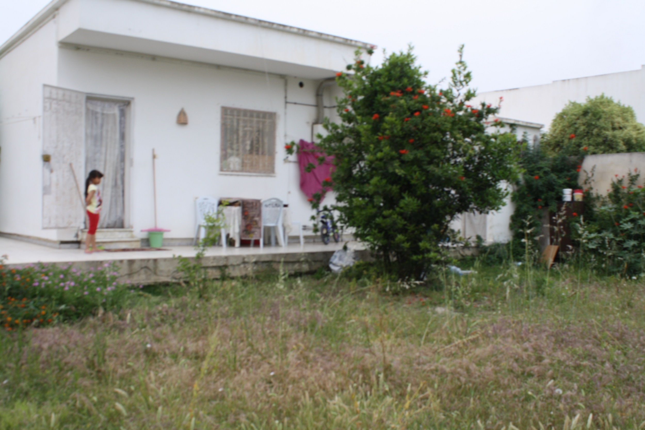 Hammam Chatt Hammam Chatt Vente Maisons Gps    maison plus  terrain nu
