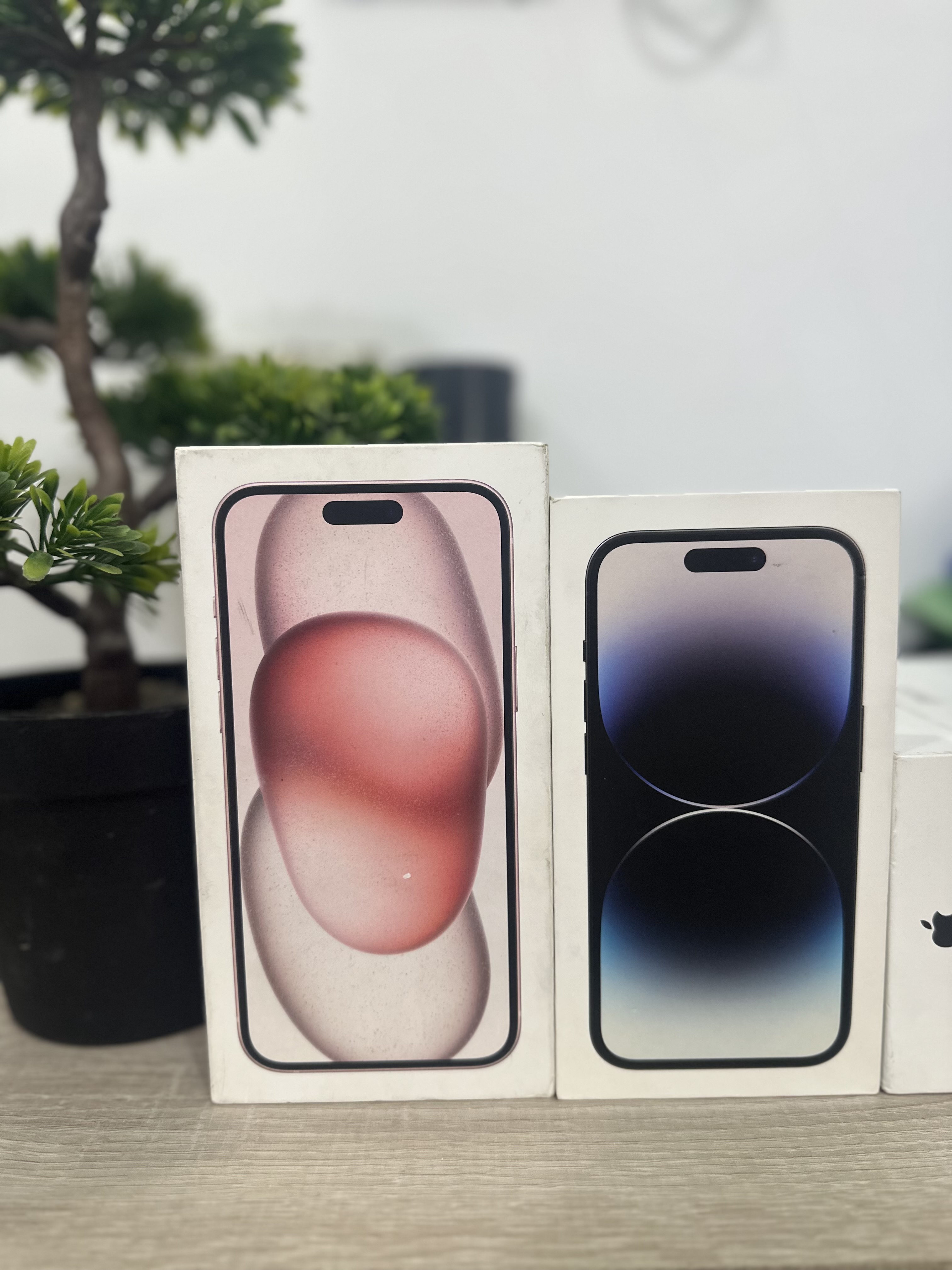 Carthage Cartage Byrsa Apple - iPhone Autre Modle Iphone 15 plus rose