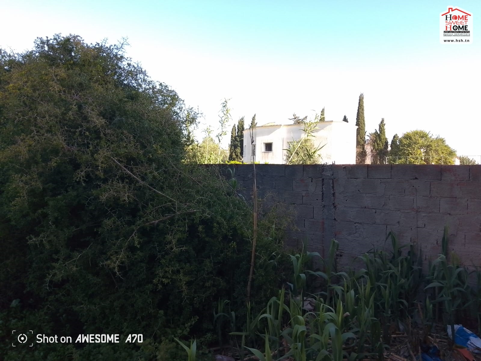 La Marsa Gammart Vente Surfaces Terrain villa athna  gammarth