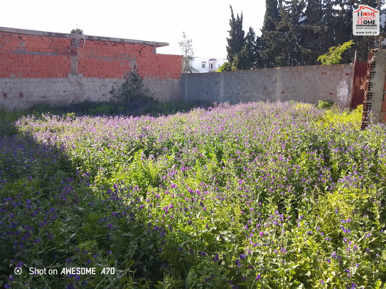 La Marsa Gammart Vente Surfaces Terrain villa athna  gammarth