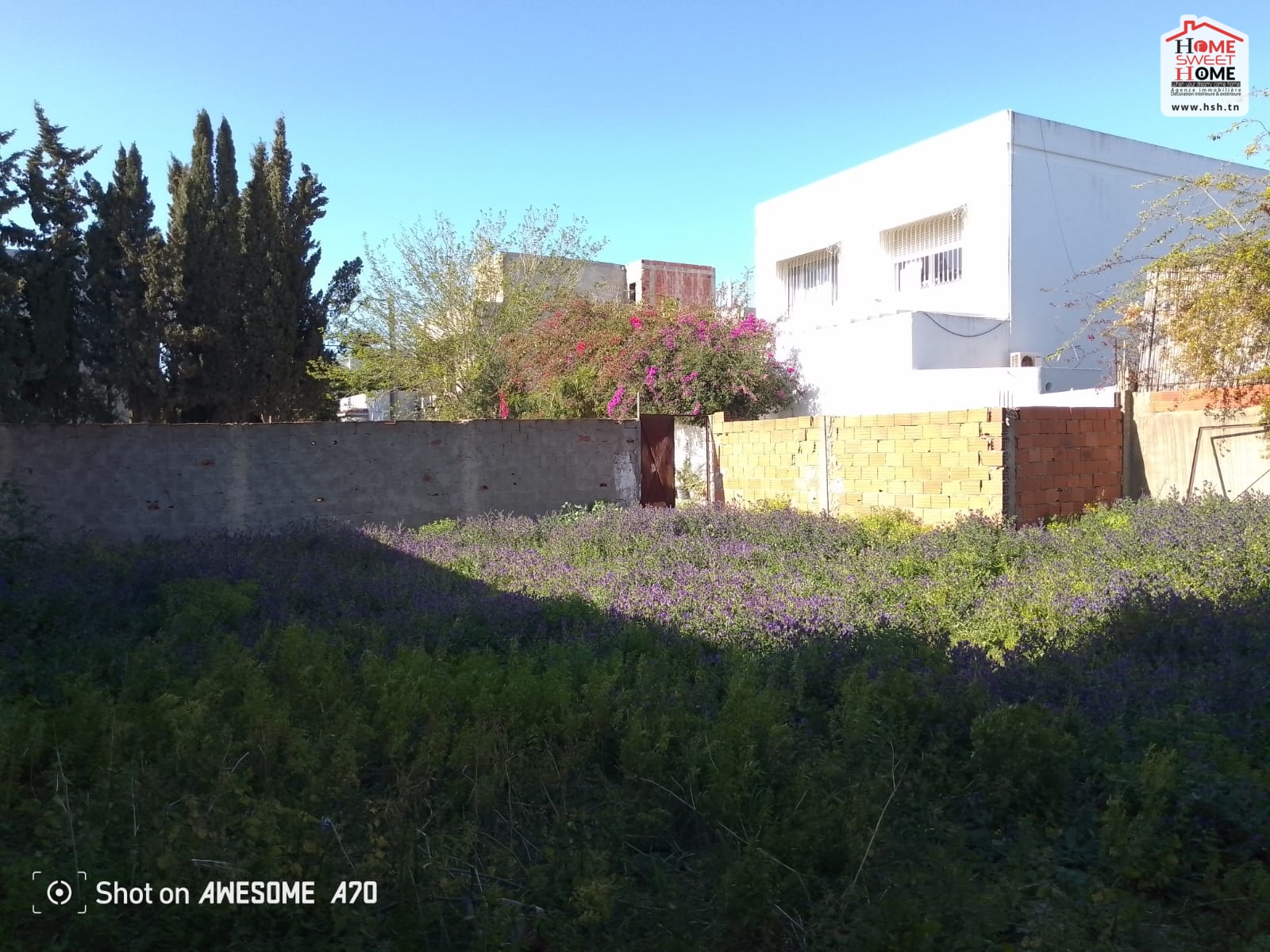 La Marsa Gammart Vente Surfaces Terrain villa athna  gammarth