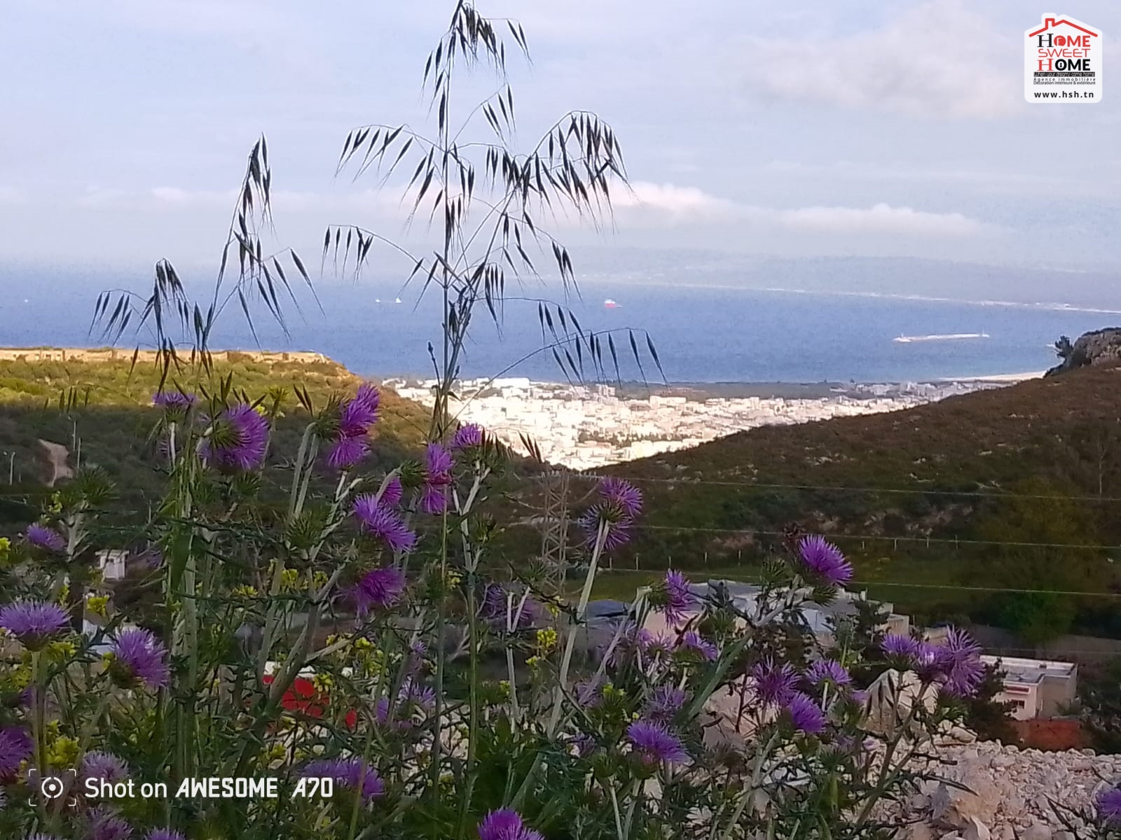 Bizerte Nord Bizerte Vente Surfaces Terrain villa ammonite  nadhour bizerte