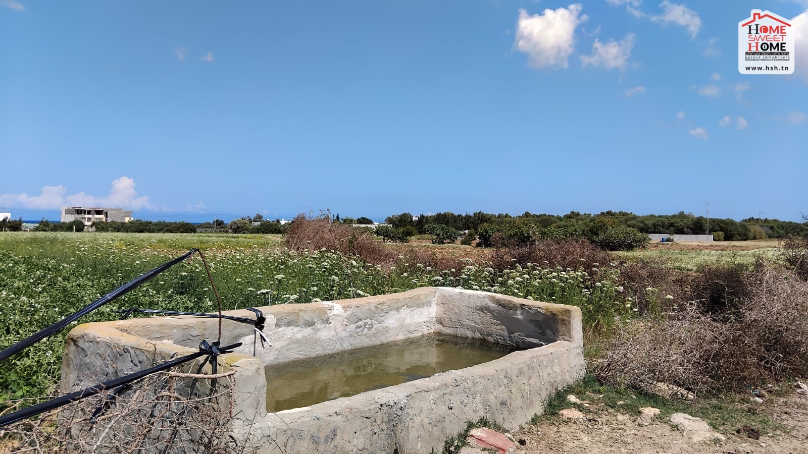 Kelibia Kelibia Vente Surfaces Terrain villa lana  klibia
