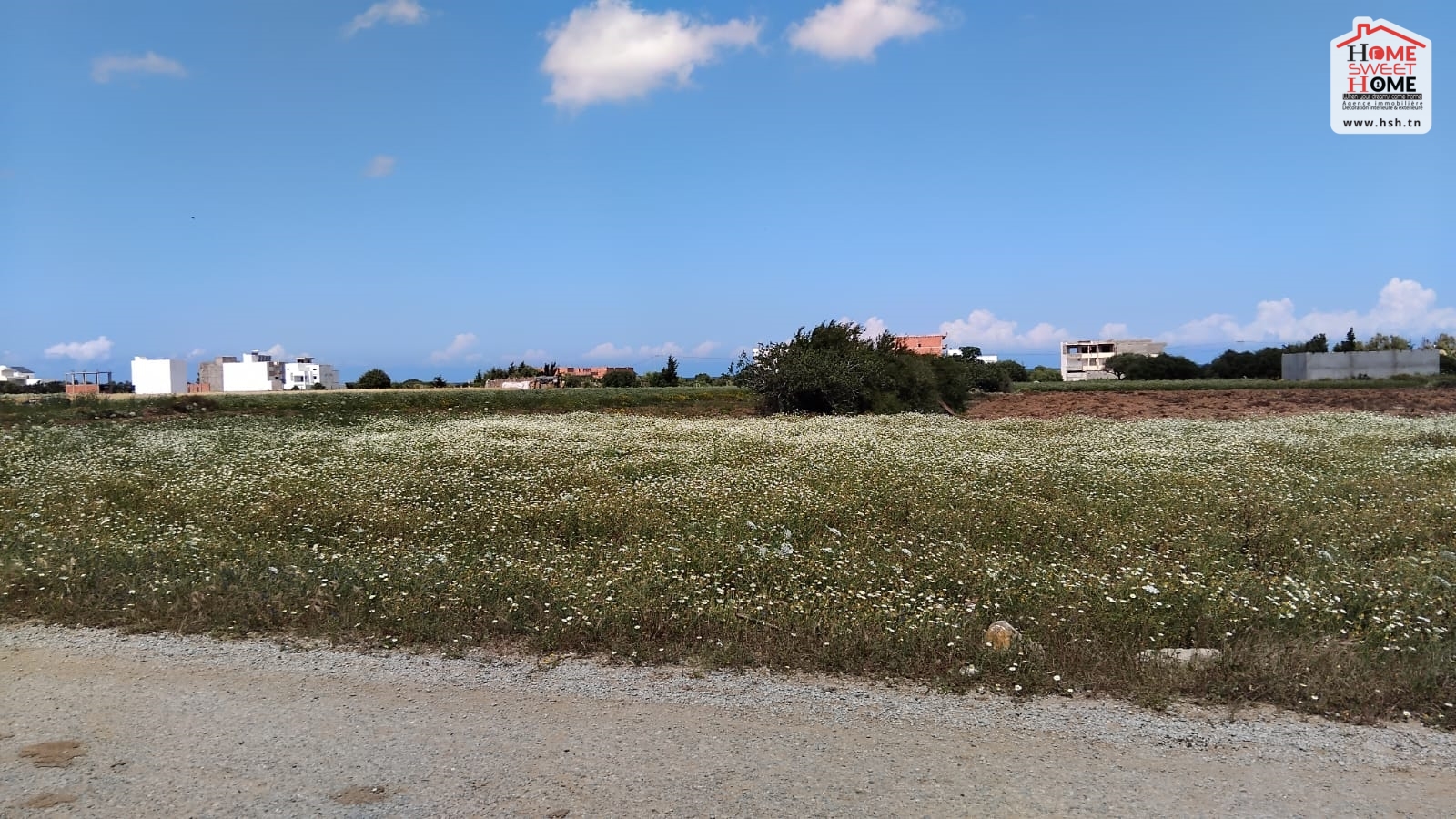Vente Surfaces - Tunisie