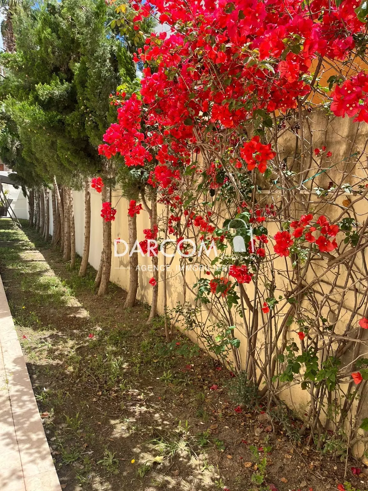 Ain Zaghouan Jardins de Carthage Vente Maisons Villa aux jardins de carthage