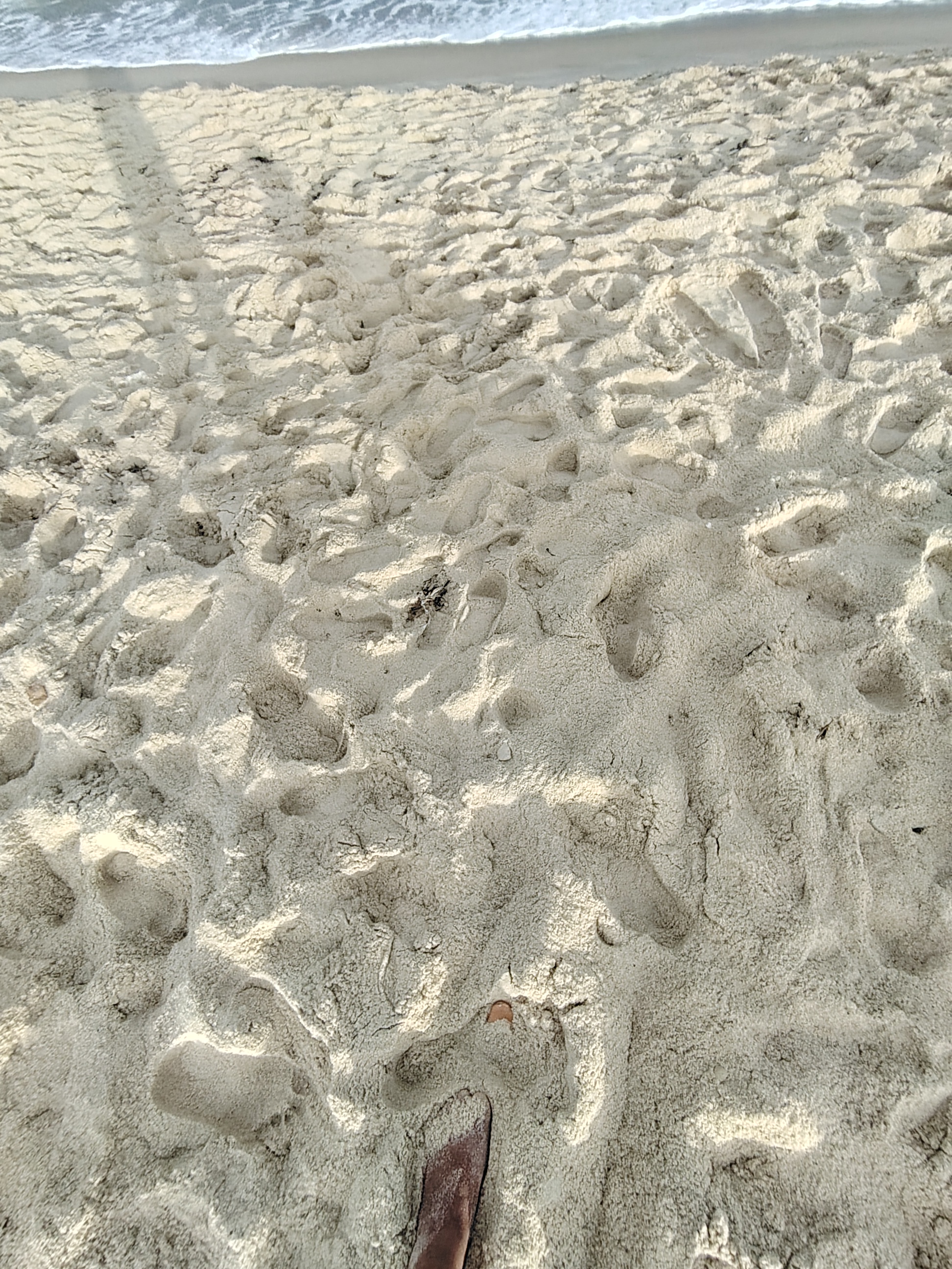 Vente Autre - Tunisie