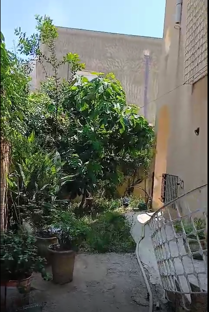 Raoued Cite Ennkhilet Vente Autre Villa  5 studios  opportunit d investissement