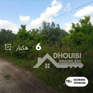 Kairouan Sud El Makhsouma Vente Appart. 1 pice  6   ref188a