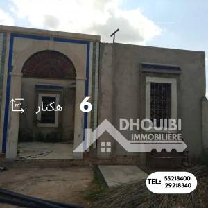 Kairouan Sud El Makhsouma Vente Appart. 1 pice  6   ref188a