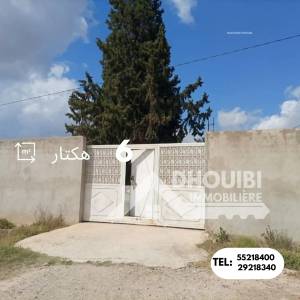 Kairouan Sud El Makhsouma Vente Appart. 1 pice  6   ref188a